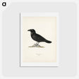 アートポストカード-Common Raven
 - スヴェンスカ フォグラル Postcard.