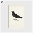 1-31_Svenska-Faglar_postcard