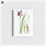 1-31_The-Genus-Iris_memo