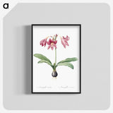 1-31_The-Lilies_blk-crop