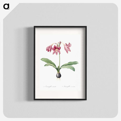 1-31_The-Lilies_blk