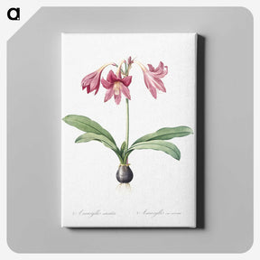1-31_The-Lilies_canvas