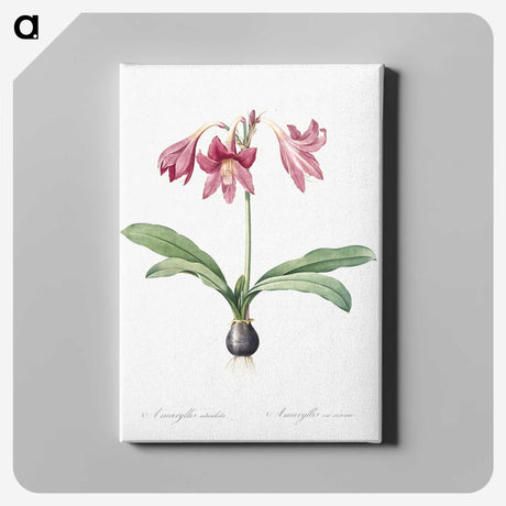 1-31_The-Lilies_canvas