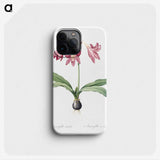 1-31_The-Lilies_phone