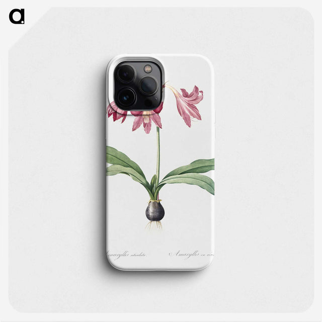 1-31_The-Lilies_phone