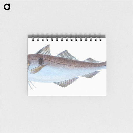 1-31_The-Natural-History-of-British-Fishes_memo