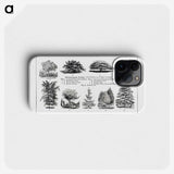 1-31_The-Open-Door-to-Independence_phone