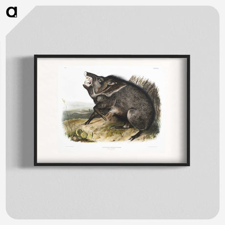 1-31_The-Viviparous-Quadrupeds_blk