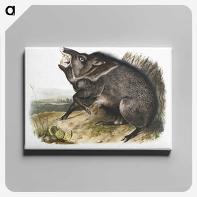 1-31_The-Viviparous-Quadrupeds_canvas