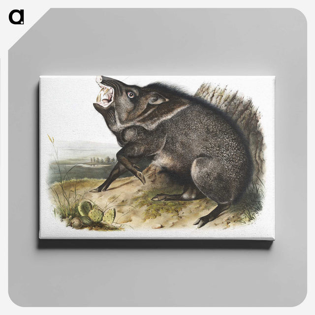 1-31_The-Viviparous-Quadrupeds_canvas