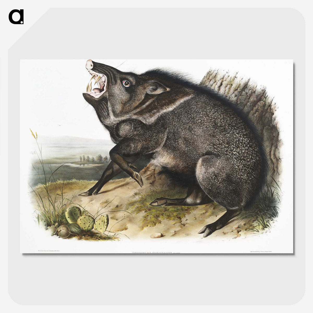 1-31_The-Viviparous-Quadrupeds_picture-crop