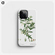 1-31_Treatise-on-Trees-and-Shrubs_phone