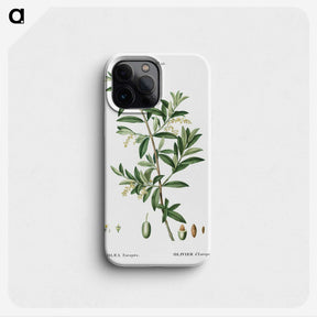 1-31_Treatise-on-Trees-and-Shrubs_phone