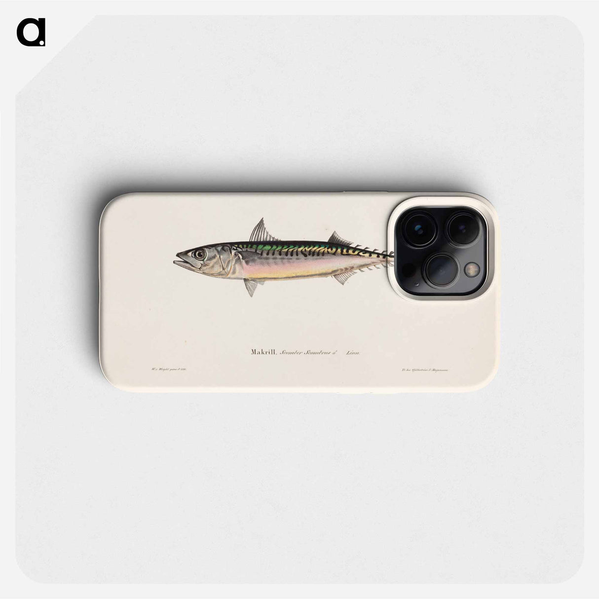 Mackerel, male - ヴィルヘルム フォン ライト Phone Case.