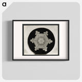 Wilson Bentley Photomicrograph of Stellar Snowflake No. 382 - ウィルソン ベントレー Poster.