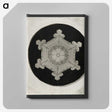 1-31_Wilson-Bentley_canvas