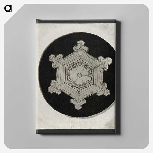 Wilson Bentley Photomicrograph of Stellar Snowflake No. 382 - ウィルソン ベントレー Canvas.