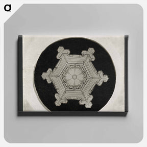アートパネル-Wilson Bentley Photomicrograph of Stellar Snowflake No. 382 - ウィルソン ベントレー Canvas.