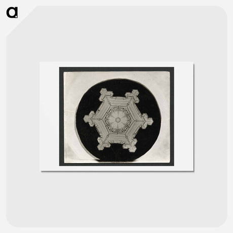 アートポストカード-Wilson Bentley Photomicrograph of Stellar Snowflake No. 382 - ウィルソン ベントレー Postcard.