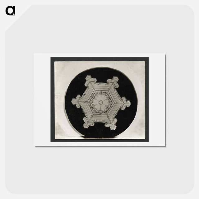 アートポストカード-Wilson Bentley Photomicrograph of Stellar Snowflake No. 382 - ウィルソン ベントレー Postcard.