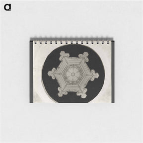アートメモ帳-Wilson Bentley Photomicrograph of Stellar Snowflake No. 382 - ウィルソン ベントレー Memo.