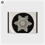 アートポストカード-Wilson Bentley Photomicrograph of Stellar Snowflake No. 382 - ウィルソン ベントレー Postcard.