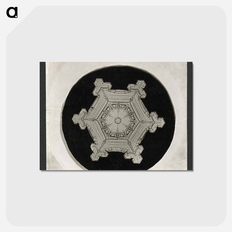 アートポストカード-Wilson Bentley Photomicrograph of Stellar Snowflake No. 382 - ウィルソン ベントレー Postcard.
