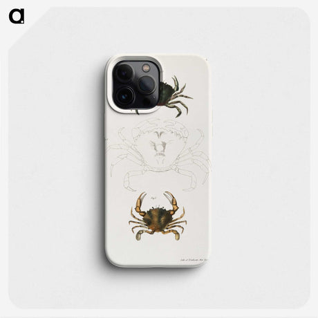 1-31_Zoology-of-New-York_phone