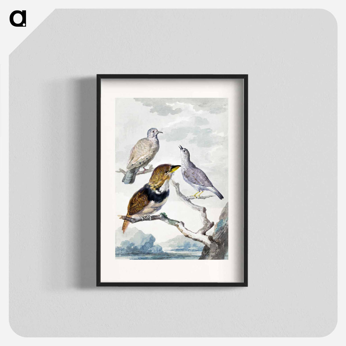 Three birds, two Inca Pigeons and a collared bearded cuckoo - アールト シューマン Poster.