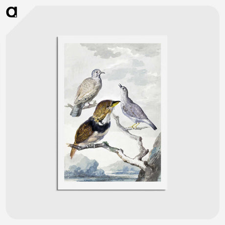 1-32_Aert-Schouman_hagaki