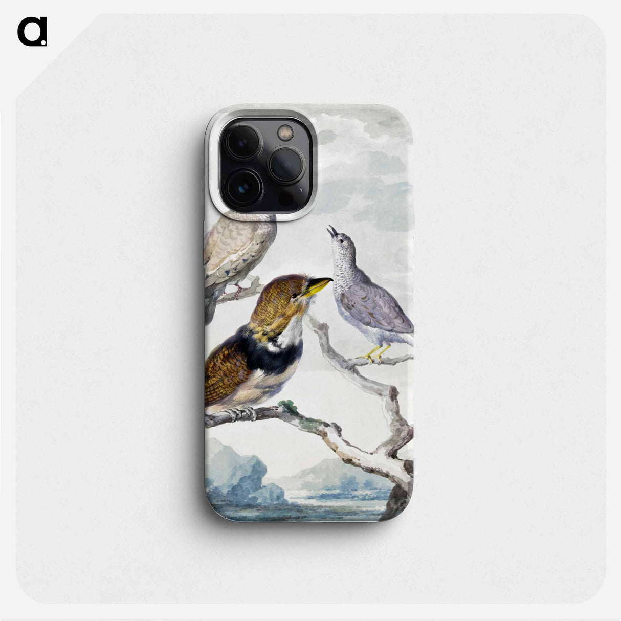 Three birds, two Inca Pigeons and a collared bearded cuckoo - アールト シューマン Phone Case.