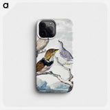 Three birds, two Inca Pigeons and a collared bearded cuckoo - アールト シューマン Phone Case.