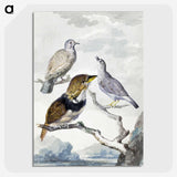 1-32_Aert-Schouman_picture-crop