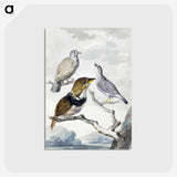 1-32_Aert-Schouman_postcard