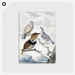 1-32_Aert-Schouman_postcard