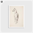アートポストカード-Horse, Hevosharjoitelma - アルフレッド ウィリアム フィンチ Postcard.