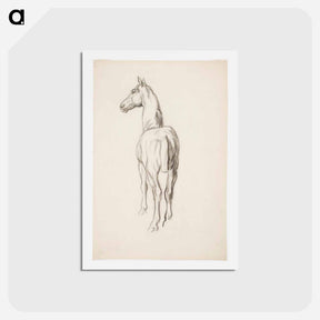 アートポストカード-Horse, Hevosharjoitelma - アルフレッド ウィリアム フィンチ Postcard.