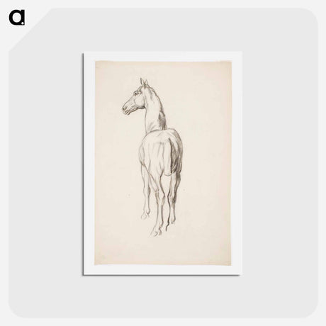 アートポストカード-Horse, Hevosharjoitelma - アルフレッド ウィリアム フィンチ Postcard.