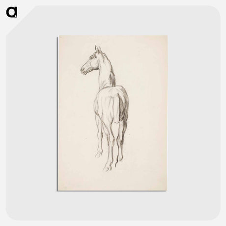 アートポストカード-Horse, Hevosharjoitelma - アルフレッド ウィリアム フィンチ Postcard.