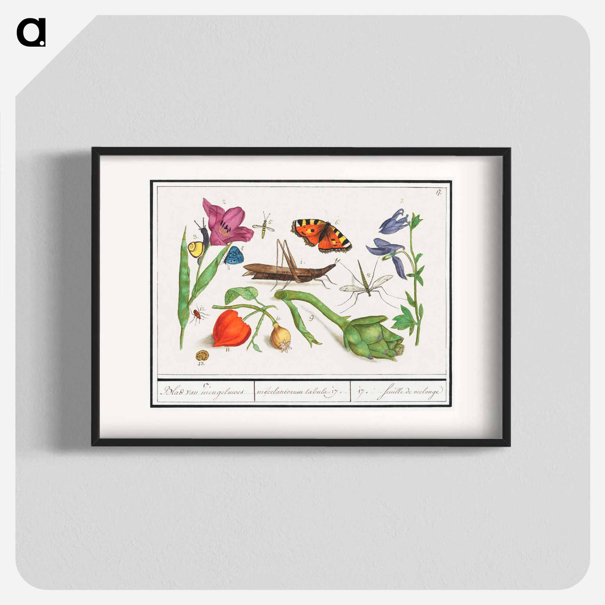 Natural History Ensemble, no. 17 - アンセルムス ボエティウス デ ブート Poster.