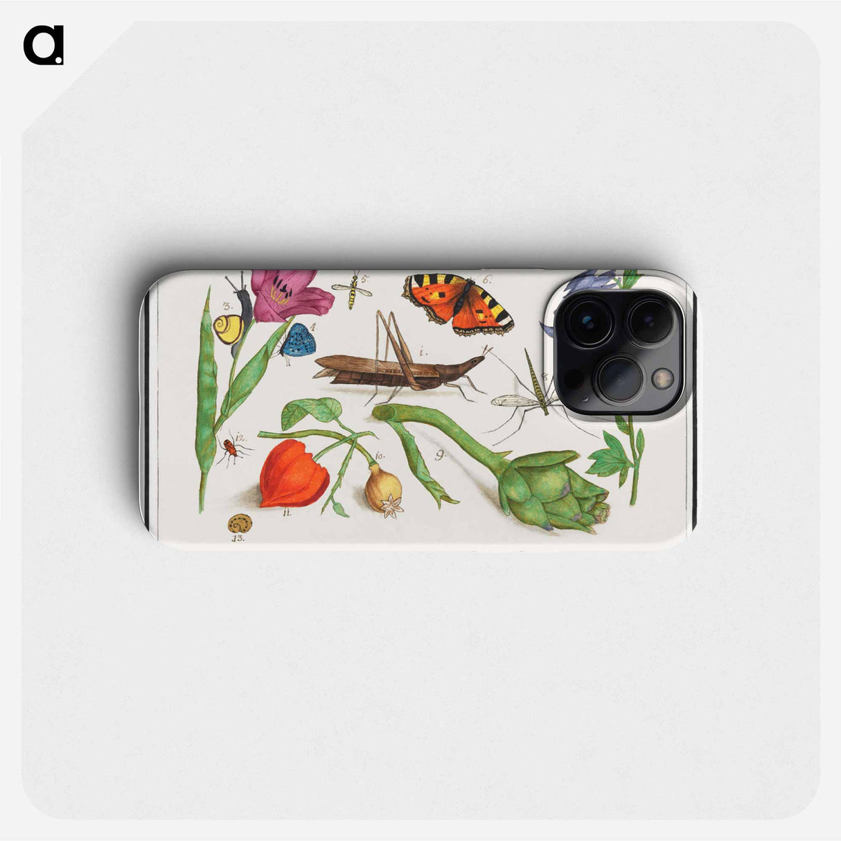 Natural History Ensemble, no. 17 - アンセルムス ボエティウス デ ブート Phone Case.