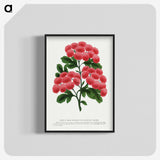 1-32_Botanical-Specimen-Plates_blk-crop