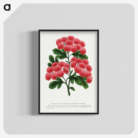 1-32_Botanical-Specimen-Plates_blk-crop