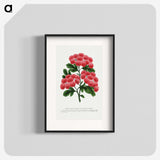 1-32_Botanical-Specimen-Plates_blk