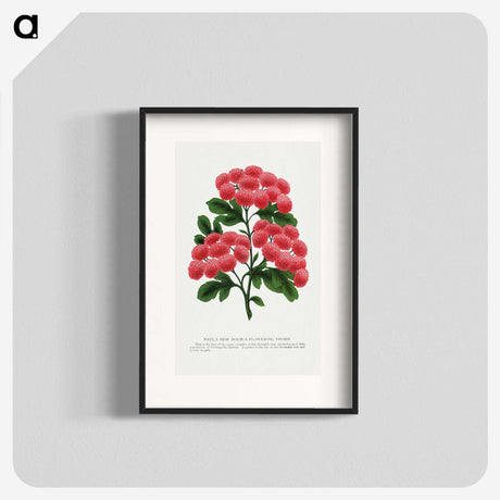 1-32_Botanical-Specimen-Plates_blk