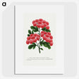 1-32_Botanical-Specimen-Plates_picture