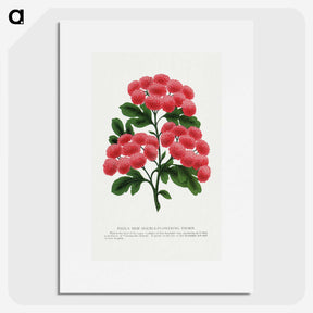1-32_Botanical-Specimen-Plates_picture