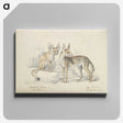 1-32_Charles-Hamilton-Smith_canvas
