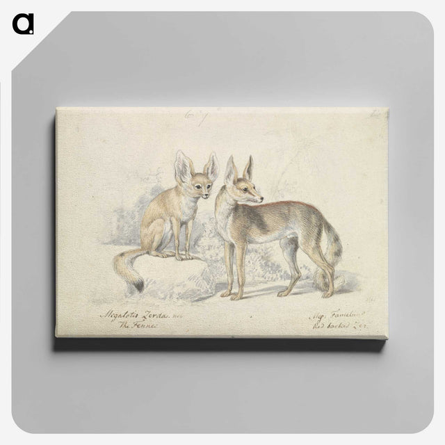 1-32_Charles-Hamilton-Smith_canvas