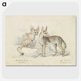 1-32_Charles-Hamilton-Smith_picture-crop